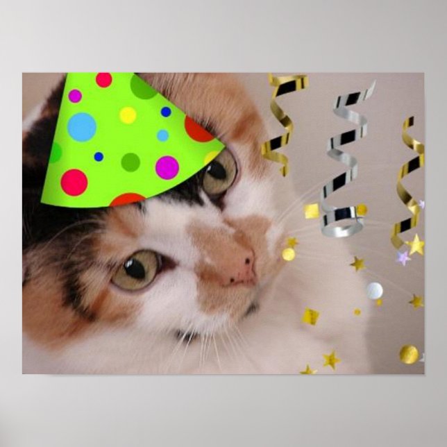 Affiche Calico Cat fête d'anniversaire (Devant)
