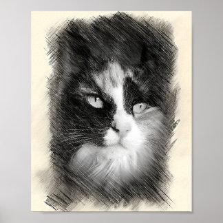 Affiche Calico Cat Sketch Art - Feline Portrait Drawing