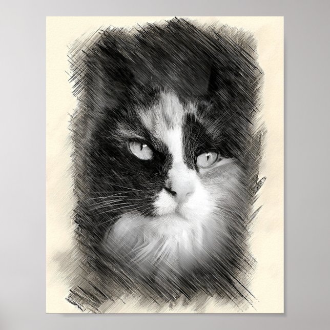 Affiche Calico Cat Sketch Art - Feline Portrait Drawing (Devant)