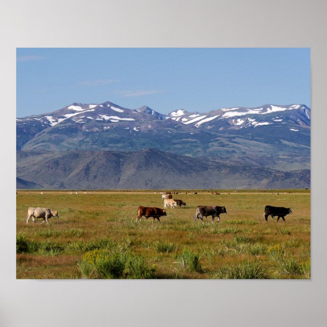 Affiche California HWY 395 Paysage (Devant)