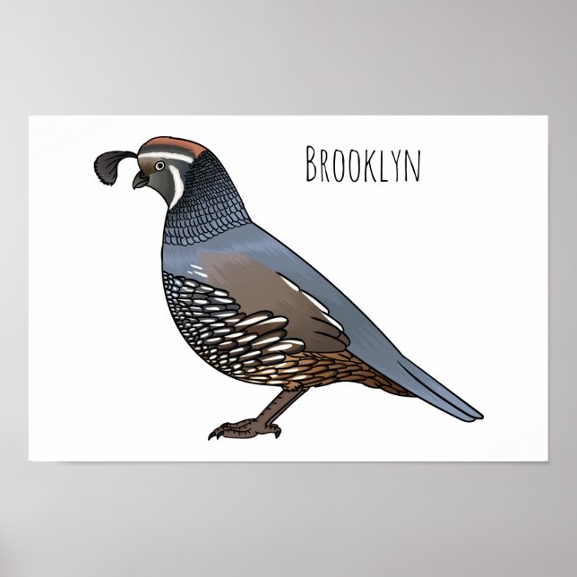 Affiche California quail bird cartoon illustration  (Devant)