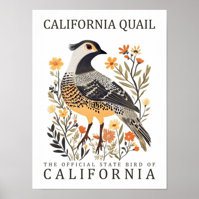 Affiche California Quail Bird of California USA Travel (Devant)