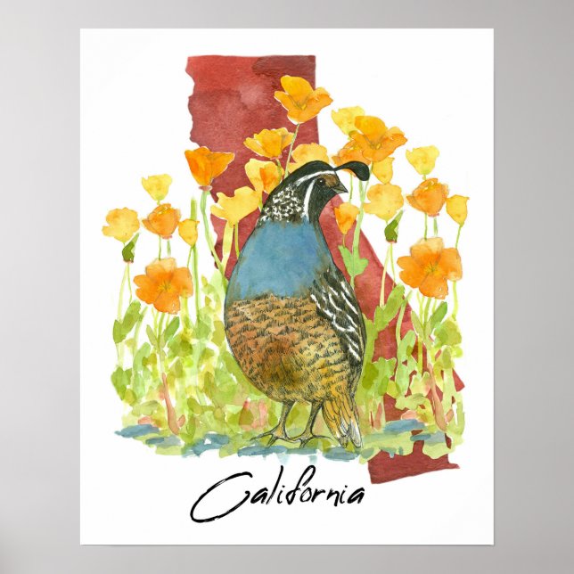 Affiche California Quail Bird Poppies State Shape (Devant)
