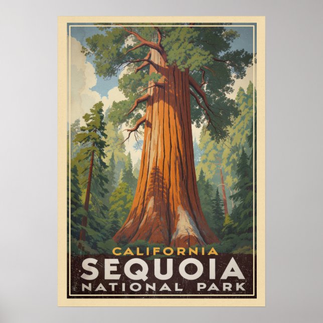 Affiche California Sequoia National Park V01 (Devant)