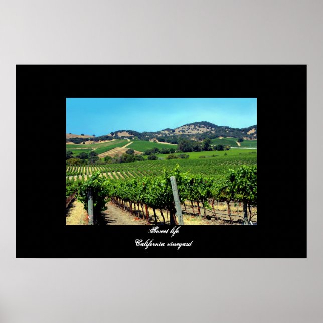 affiche "California Vineyard" (Devant)