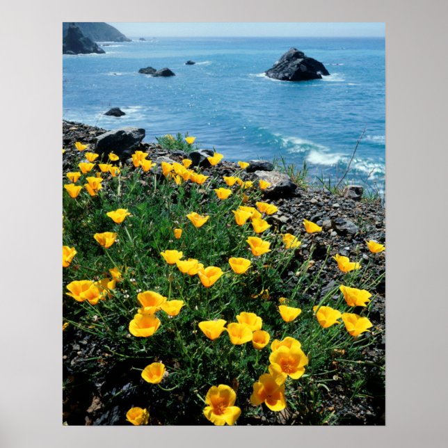 Affiche Californie, Big Sur Coast, Central Coast 1 (Devant)