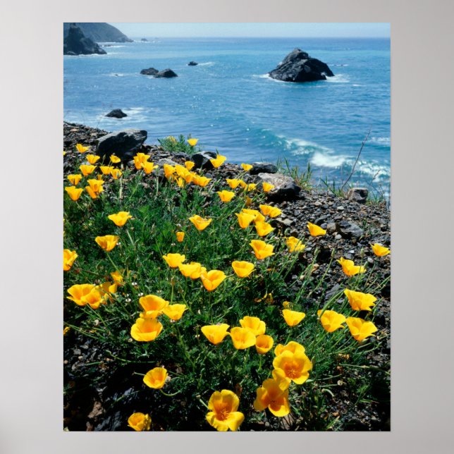 Affiche Californie, côte Big Sur, Central Coast 1 (Devant)
