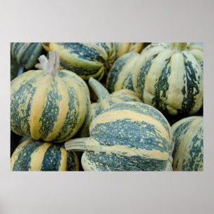 Affiche Californie. Récolte D'Automne En Californie