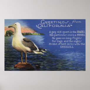Affiche Californie - Salutations de, Poème Seagull