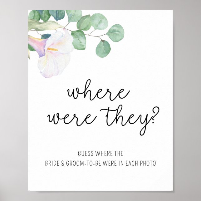 Affiche Calla et eucalyptus - Où étaient-ils ? (Devant)