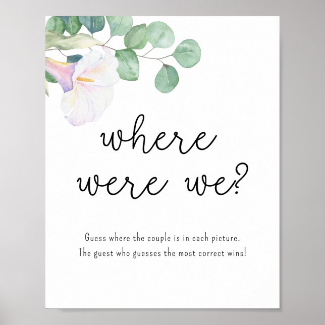 Affiche Calla et eucalyptus - Où étions-nous ? (Devant)