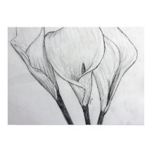 Calla Lilies crayon croquis dessin art