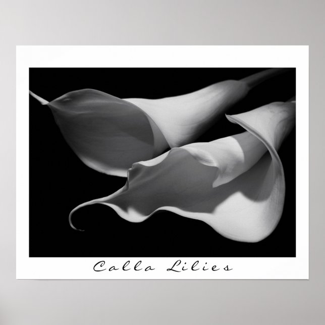 Affiche Calla Lilies en B&W (Devant)
