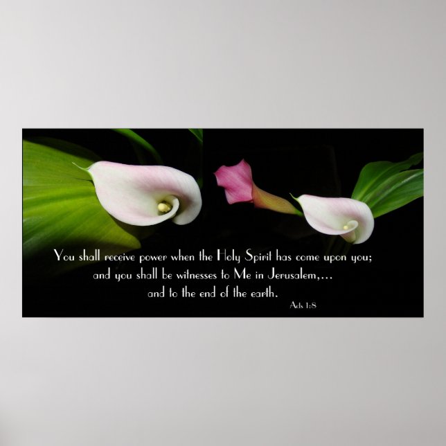 Affiche Calla Lily Fleurs Esprit Saint Écriture Imprimer (Devant)