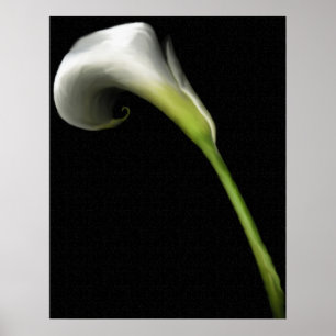 Affiche Calla Lily Prints