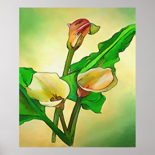 Affiche Calla Se Lie Contre Un Ombre Vert