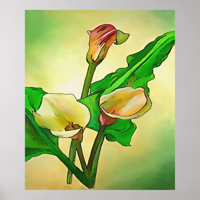 Affiche Calla Se Lie Contre Un Ombre Vert (Devant)
