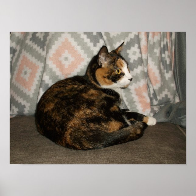 Affiche Callie Cat sur le canapé (Devant)