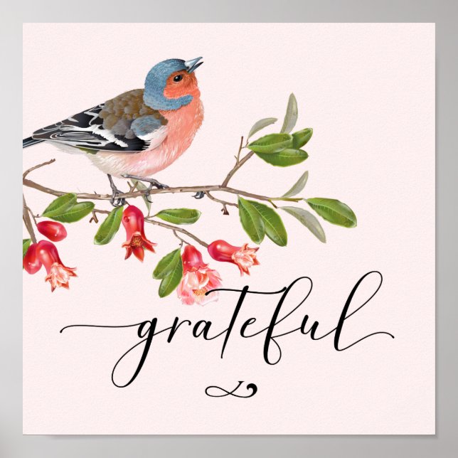 Affiche Calligraphie Grateful Aquarelle Oiseau Fleur Rose (Devant)