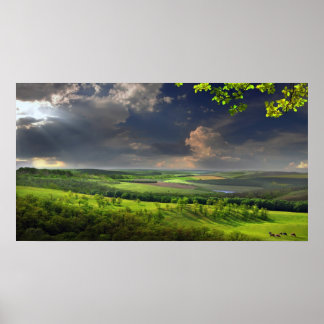 Affiche Calm Afternoon