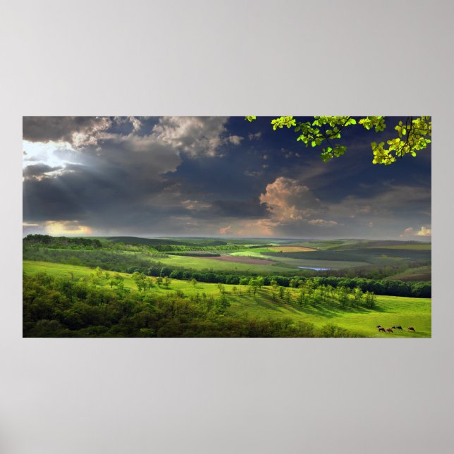 Affiche Calm Afternoon (Devant)