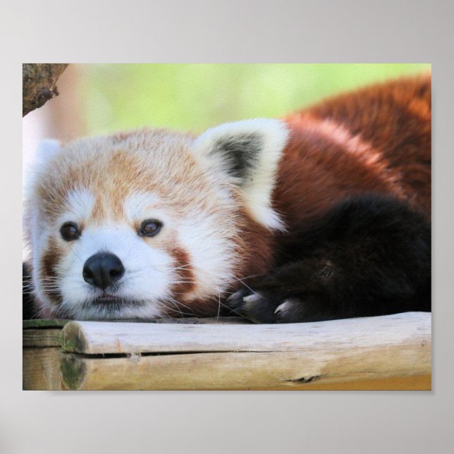 Affiche Calme (Devant)