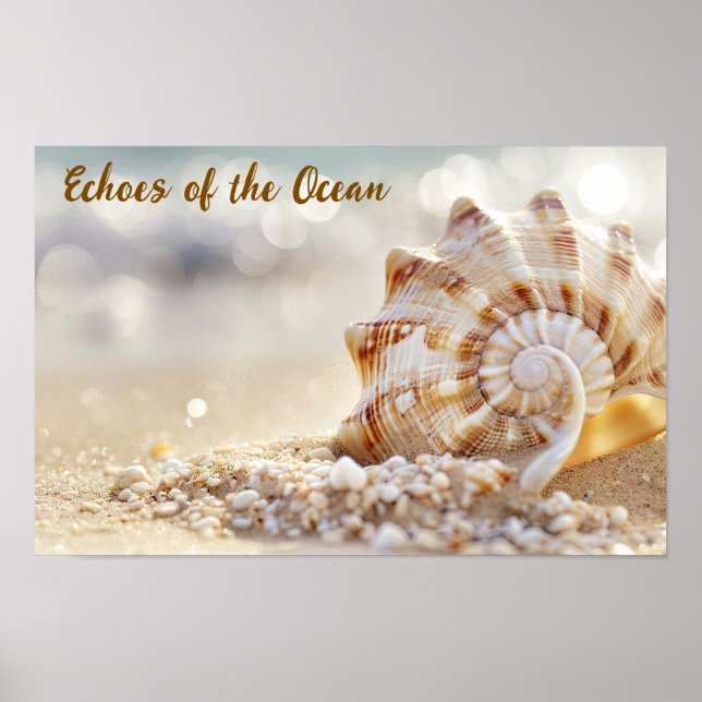 Affiche Calme côtier : Coquillage sur Sunlit Beach (Devant)