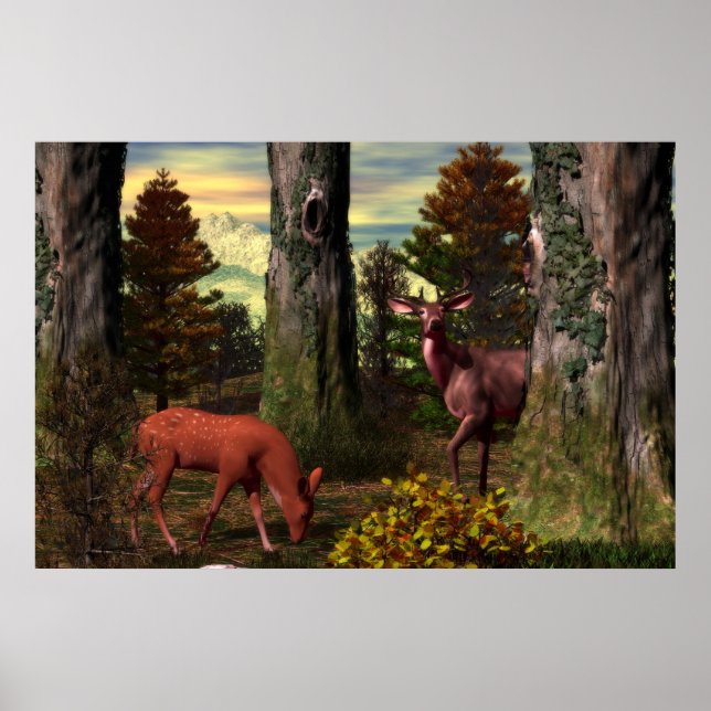 Affiche Calme forestier (Devant)