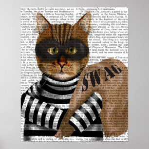 Affiche Cambrioleur de chat