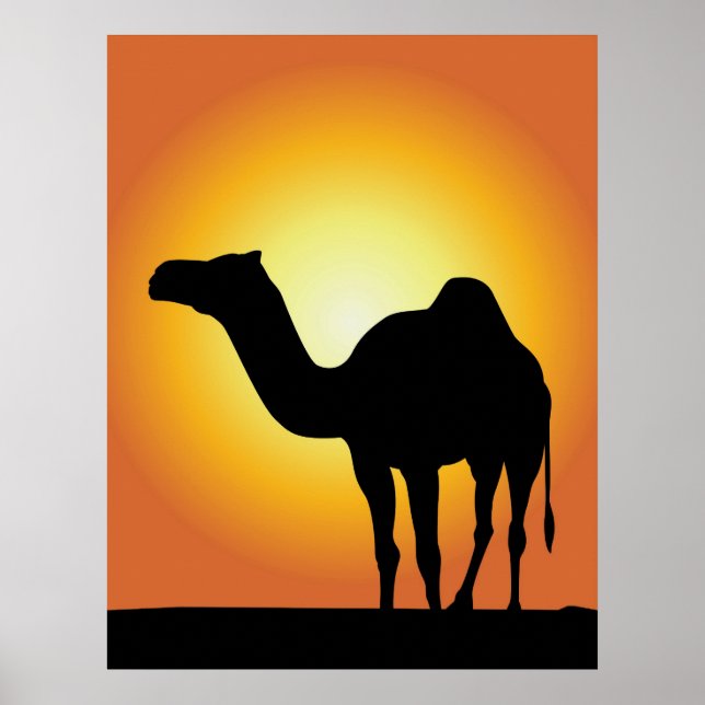 Affiche Camel (Devant)