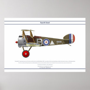 Affiche Camel 43 Sqn