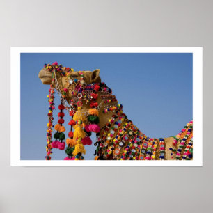 Affiche Camel in The  Desert