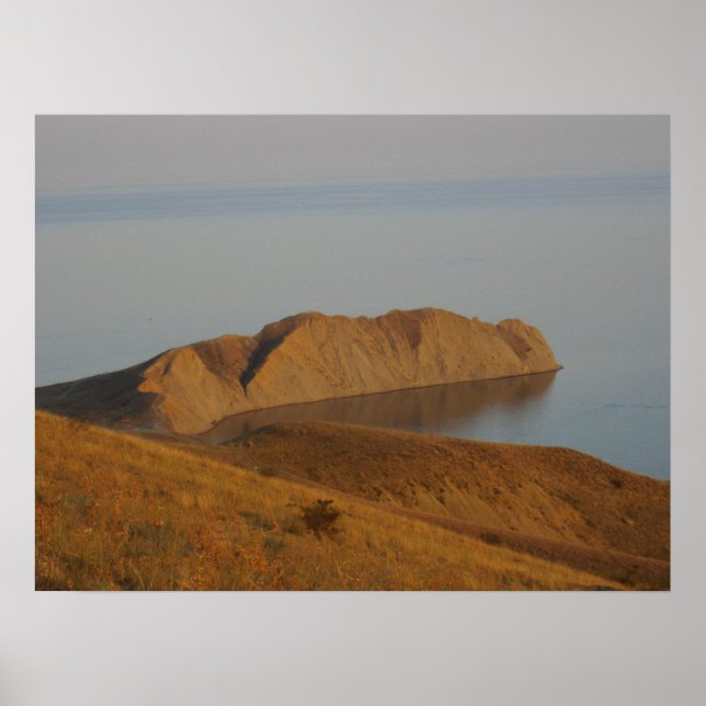 Affiche Caméléon (Devant)