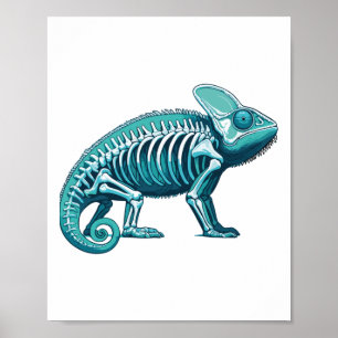 Affiche Caméléon corps anatomie radiographie squelette à r