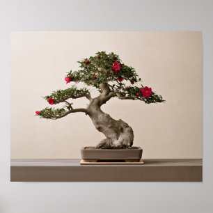 Affiche Camélia Sasanqua Bonsaï Art Imprimé Japonais