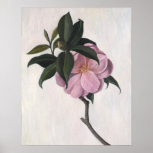 Affiche Camellia 1998
