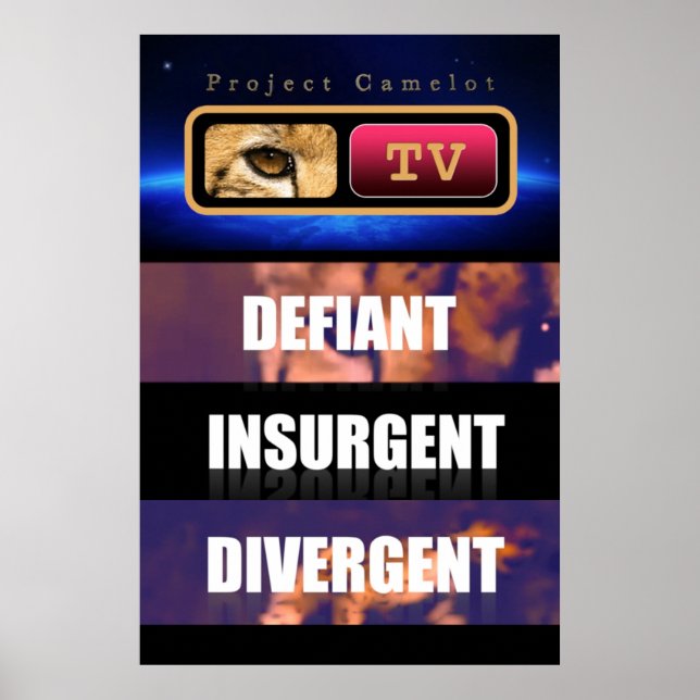 AFFICHE CAMELOT DU PROJET (Devant)