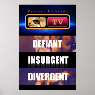 AFFICHE CAMELOTE DU PROJET