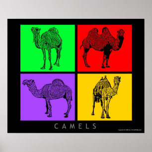 Affiche Camels colorés