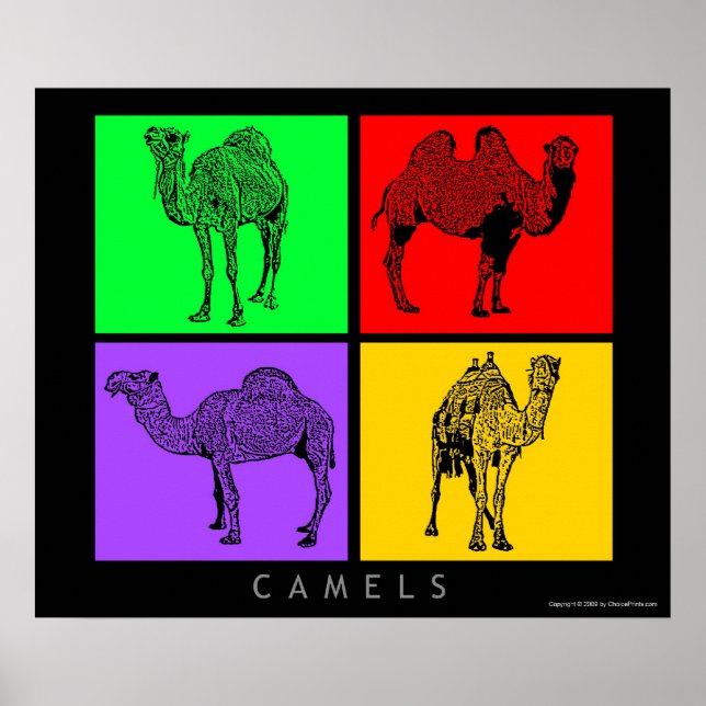 Affiche Camels colorés (Devant)