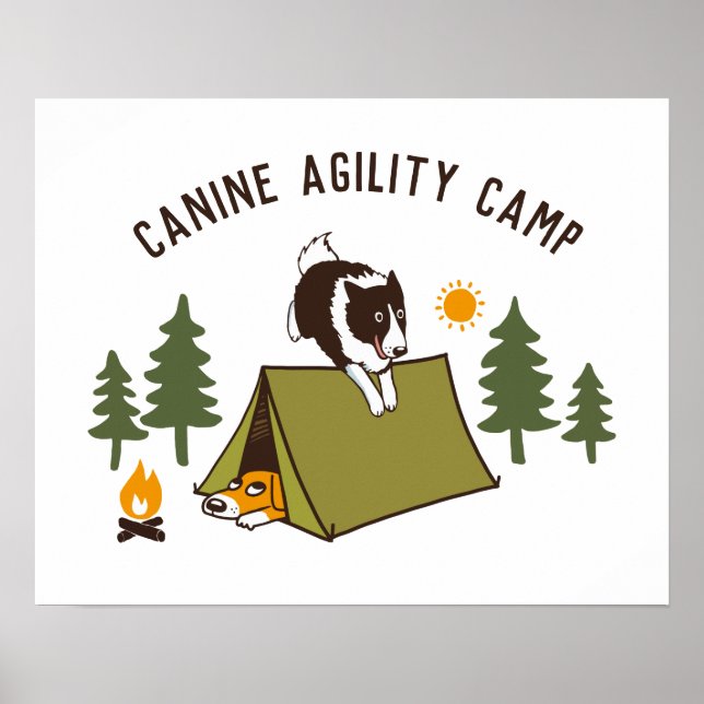 Affiche Camp Collie de chiens d'agilité Coupe de la fronti (Devant)