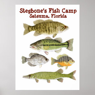 Affiche Camp des poissons de Stegbone