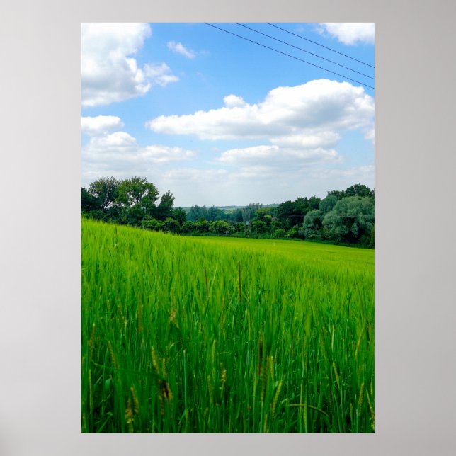 Affiche Campagne magnifique (Devant)