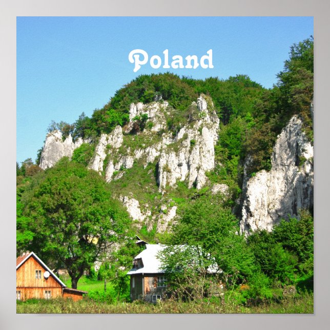 Affiche Campagne polonaise (Devant)