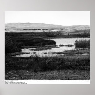 Affiche Campus de la réserve faunique d'Irvine, 1967