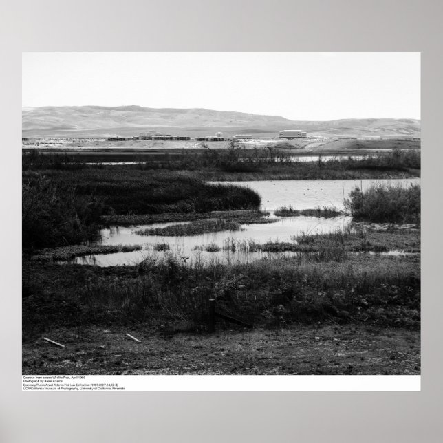 Affiche Campus de la réserve faunique d'Irvine, 1967 (Devant)