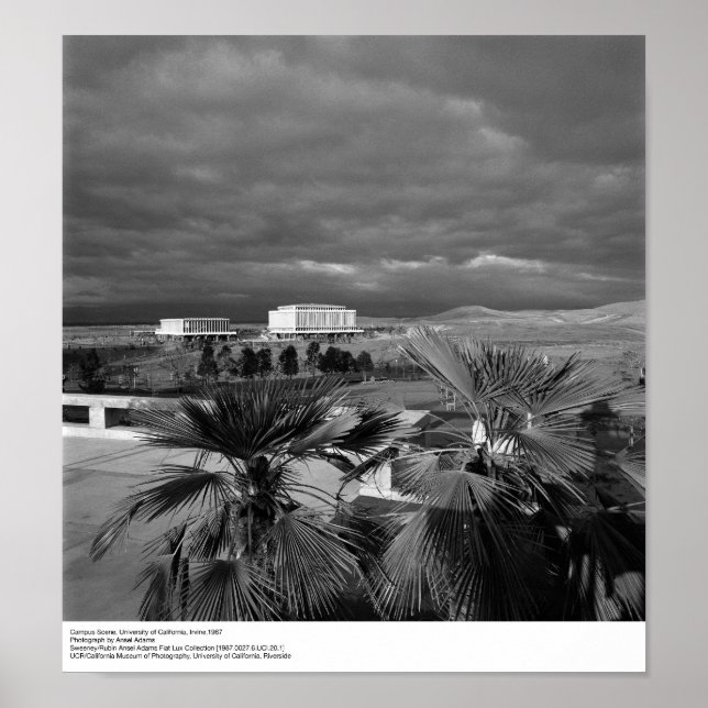 Affiche Campus Scene, UC Irvine, 1967 (Devant)