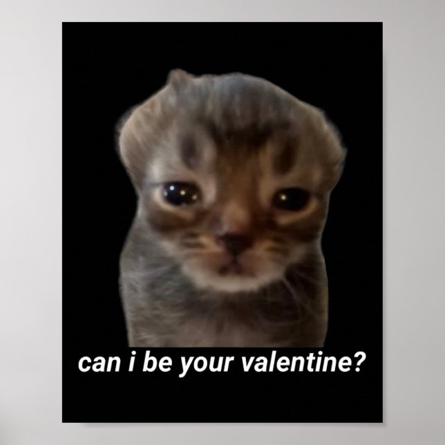 Affiche Can I Be Your Valentine Funny Cat Meme Brainrot Ge (Devant)