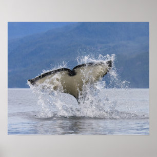 Affiche Canada, British Columbia, Vancouver Island,