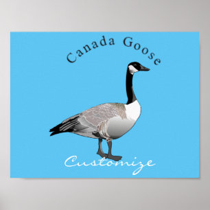 Affiche Canada Goose